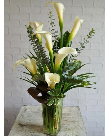 Callas Calling