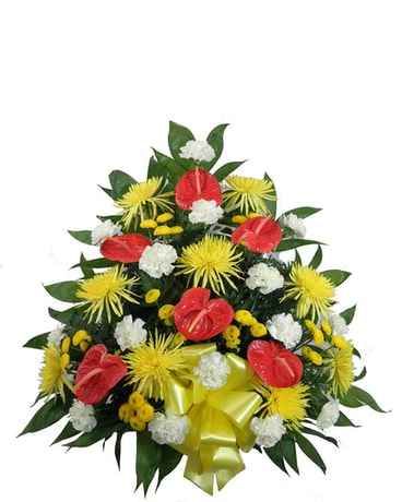 Tropical Paradise Mache