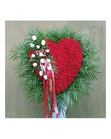 A Large and Showy Bleeding Heart