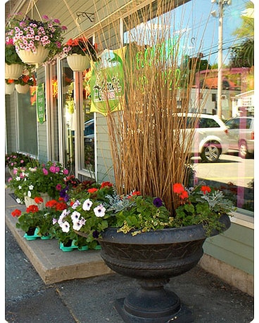Outdoor Ornamentals