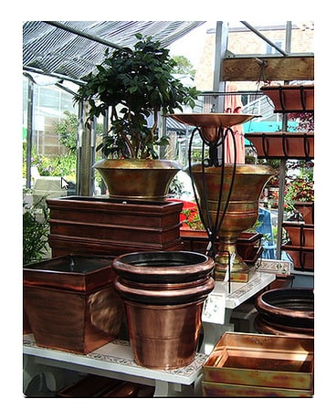 Outdoor Ornamentals