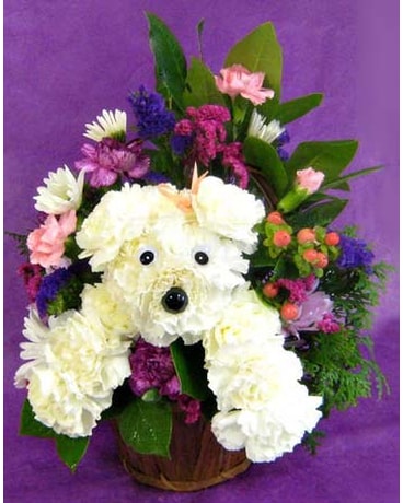 Dog Days Basket