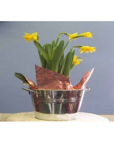 Spring in a bucket