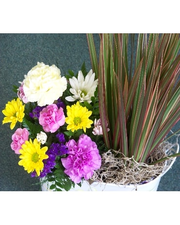 Plant and flowers