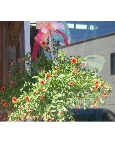 Hanging deck plant