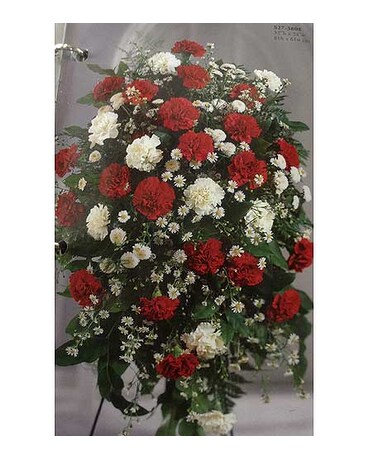 Carnation Spray