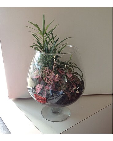 Terrarium