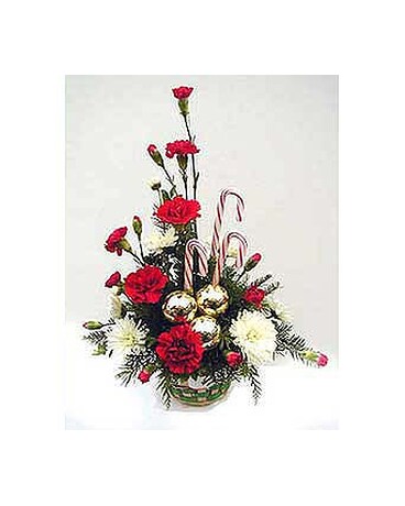 HOLIDAY CANDY CANE