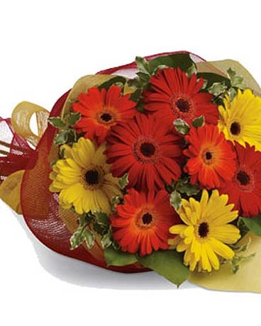 Mixed Gerbera Bouquet