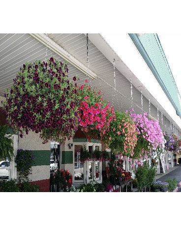 Blooming Hanging Basket