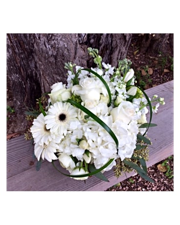 White Bliss In Boerne Tx An Empty Vase