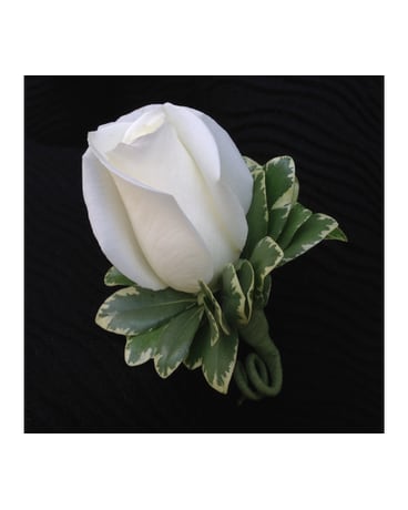 Rose Boutonniere