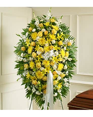 Yellow & White Spray
