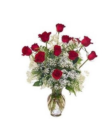 True love 12 Long Stem Red Roses