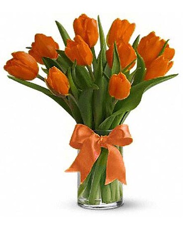 Ten Orange Tulips