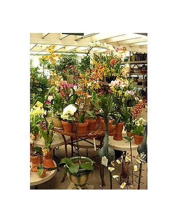 Our Store