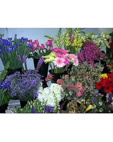 Our Store