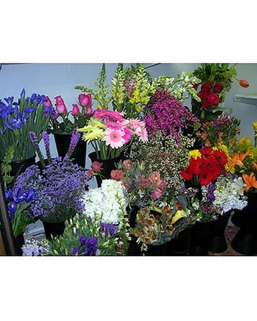 Our Store