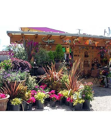 Our Store