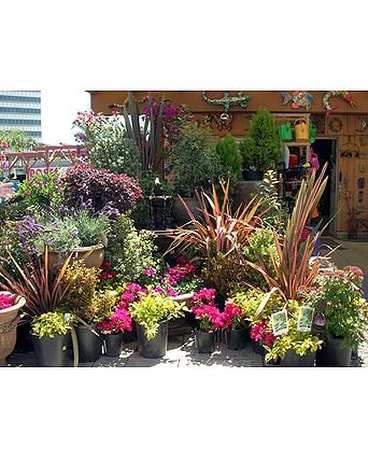 Our Store