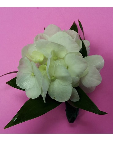 White Hydrangea Bout.