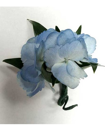 Blue Hydrangea Bout