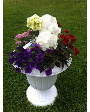 Outdoor Blooming Garden