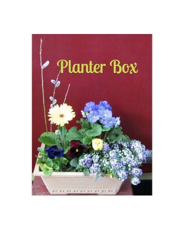 Spring Planter Box