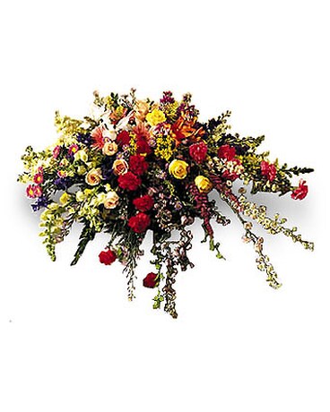 Casket Cover