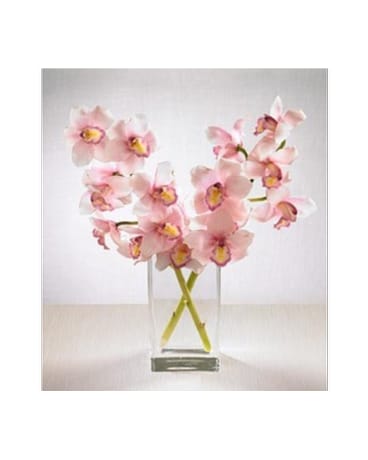 pink cymbidium sprays
