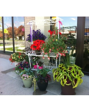 Huddart Outdoor French Garden