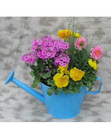 Plants Delivery Crystal Lake Il Countryside Flower Quick View Shower Mom With Affection Planter