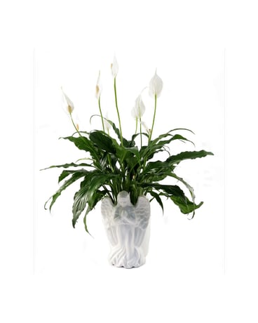 Guardian Angel Flower Arrangement