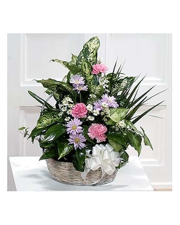 Elegant Tropical Basket Garden