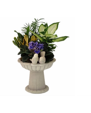 Bird Bath Garden