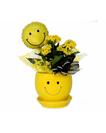 Smiley Face Blooming Plant