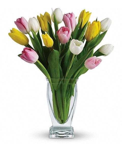 Teleflora's Tulip Treasure with 20 Tulips in Tiburon CA Ark
