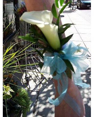 Wonderful White