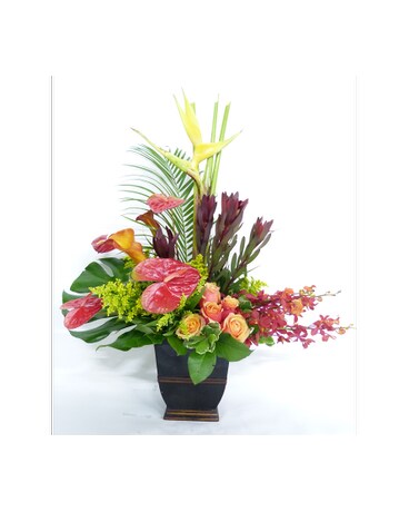 Lobby and Office Flowers