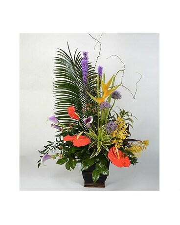 Lobby/Office Flowers