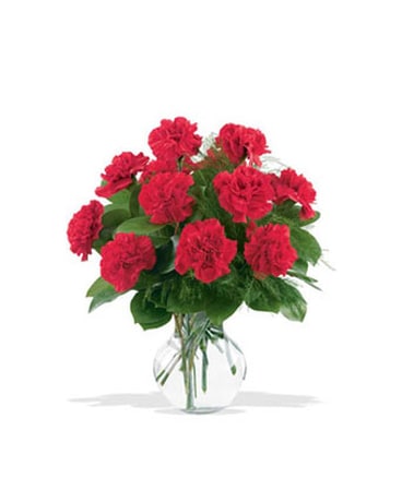 12 Red Carnations
