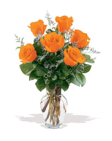 6 Orange Roses