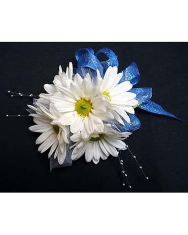 White Daisies