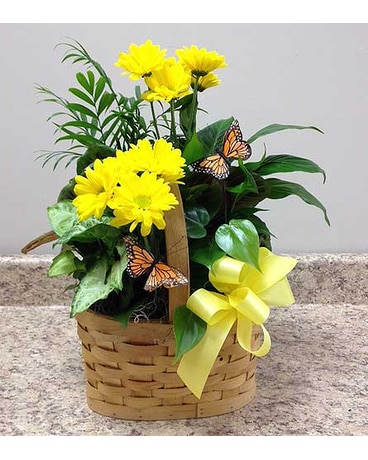 Butterfly Garden Planter Flower Arrangement