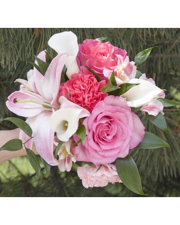 Expressions of Pink