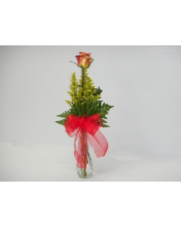 1 Circus or HighMagic rose Vase