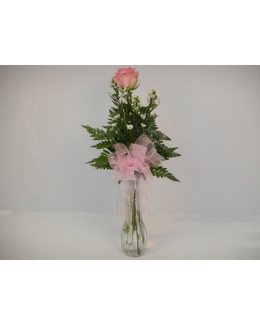 A single pink Rose