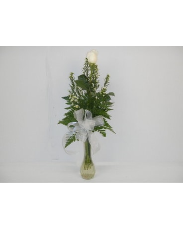 White rose vase