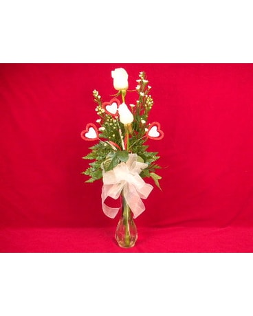 A duet of white roses Valentine style