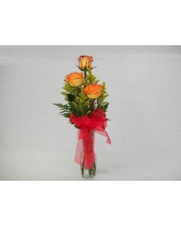 Circus Rose Trio